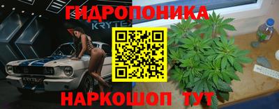 spice Канаш