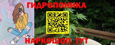 spice Канаш