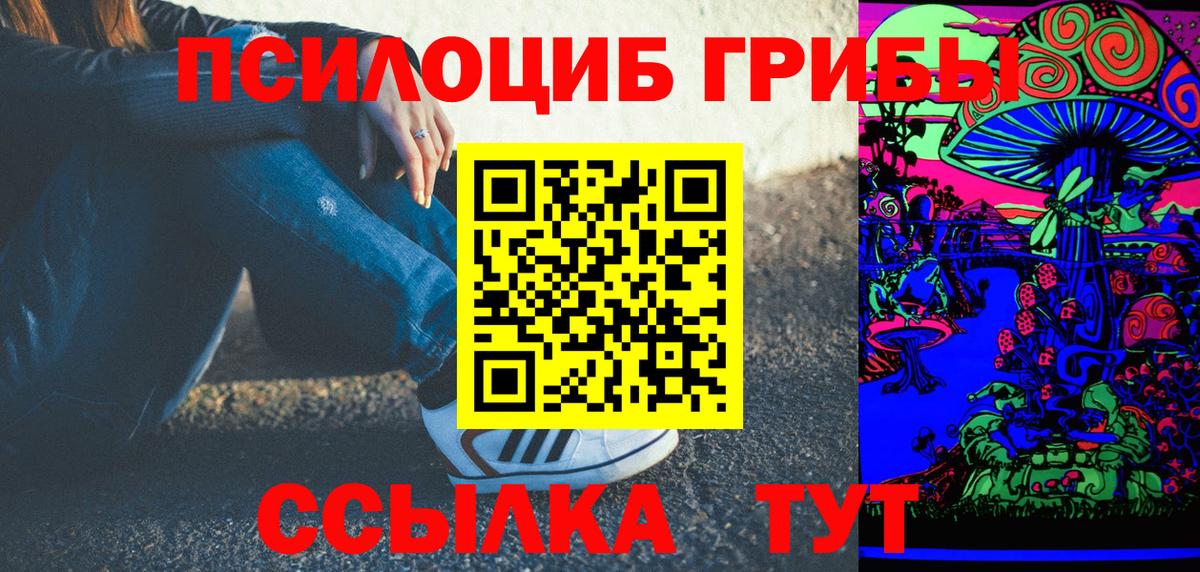Котлас  Галлюциногенные грибы Cubensis  Вход с VPN 